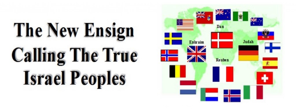 new-ensign-banner
