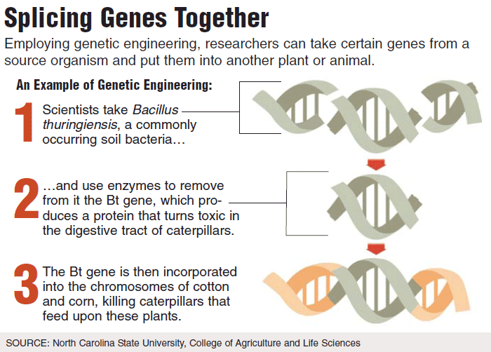 RH- Genetic Engineering Explained